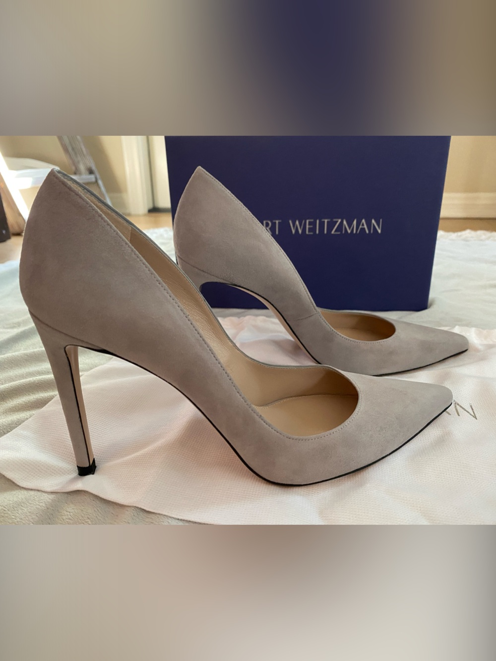 Stuart Weitzman “Curvia” 100mm Grey Suede Pointed Pumps